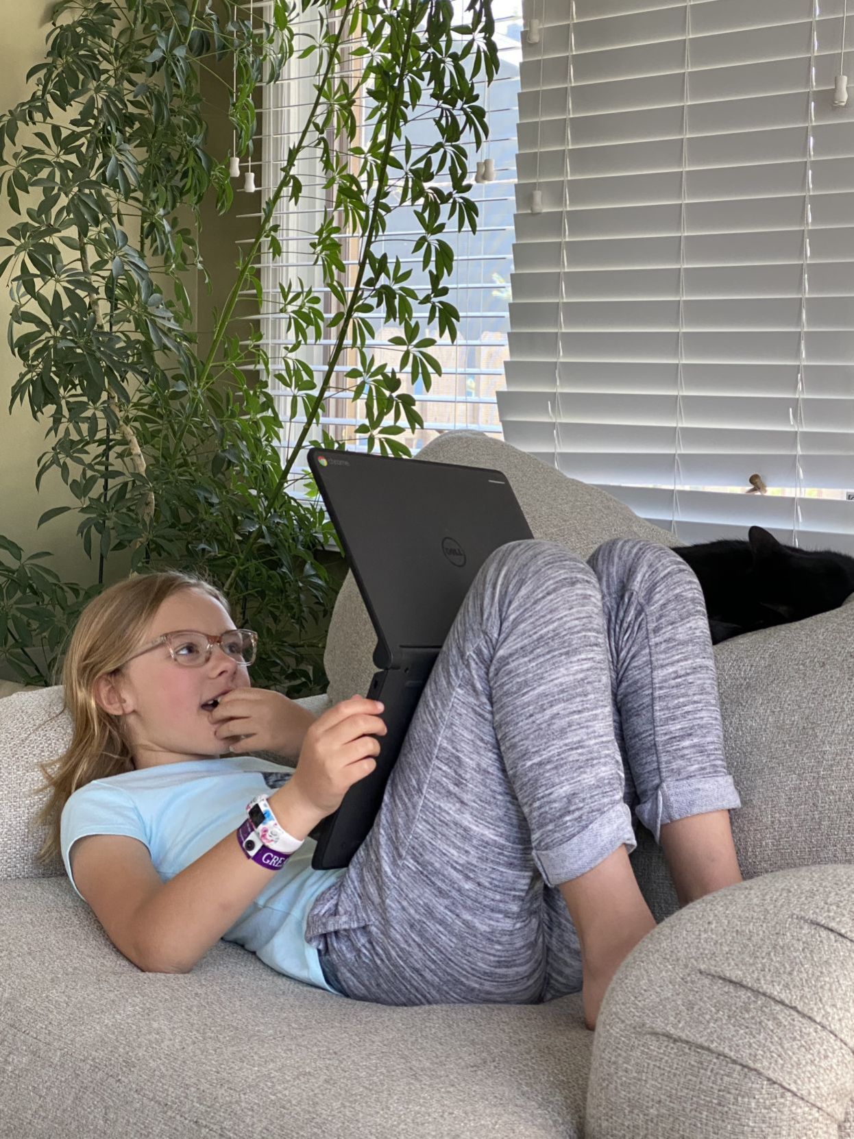 School from home